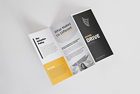 Economy Leaflets Image