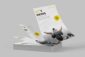 Economy Flyers Image